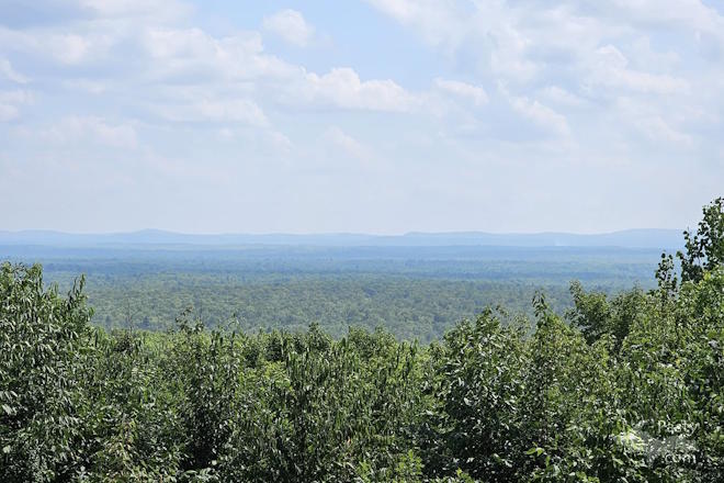 Photo by Laurie Bashaw