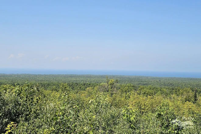 Photo by Laurie Bashaw