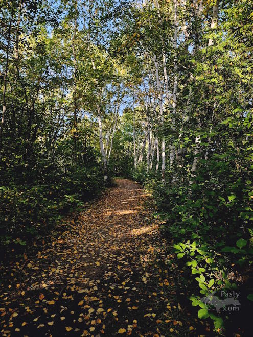 Photo by Debbie Jarve