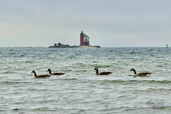 Photo by Jeff Dennis