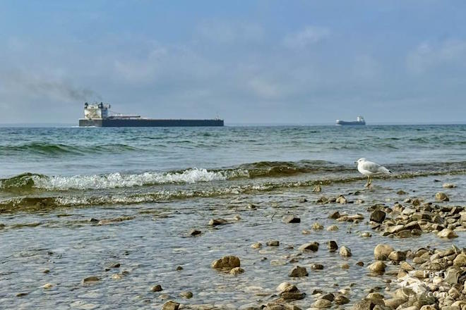 Photo by Jeff Dennis