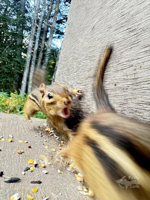 Photo by Danielle Putnam