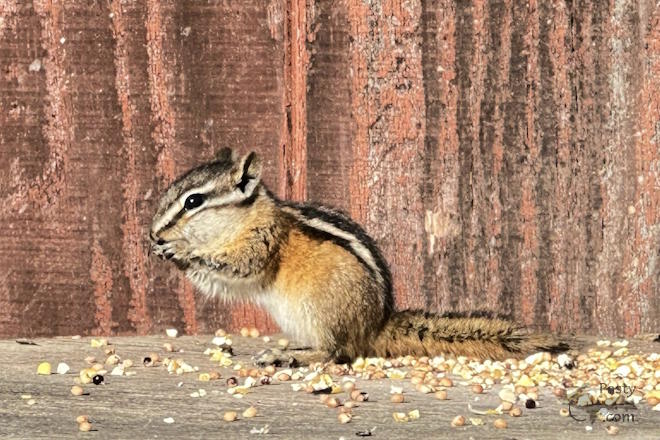 Photo by Danielle Putnam