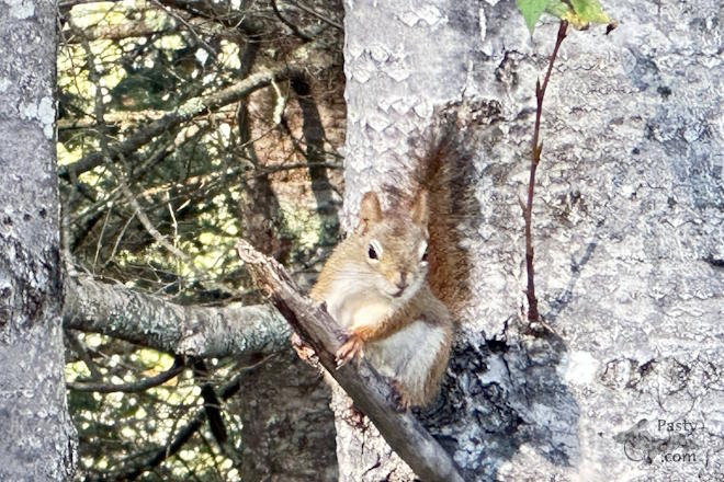 Photo by Danielle Putnam