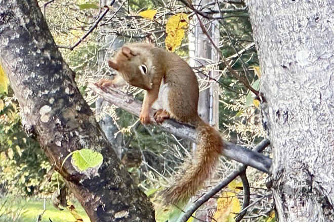 Photo by Danielle Putnam