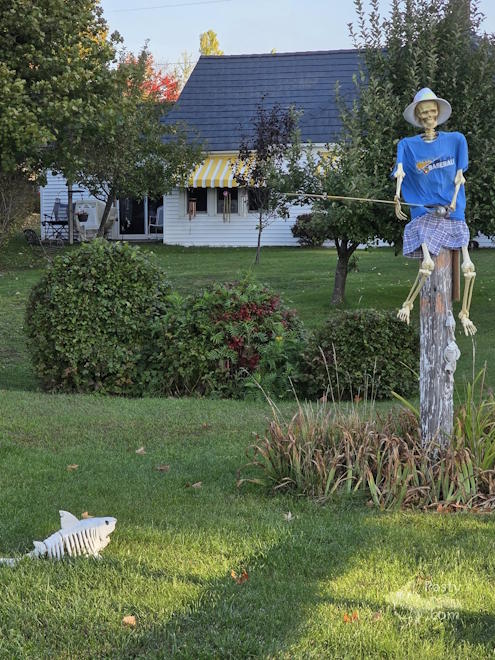 Photo by Laurie Bashaw