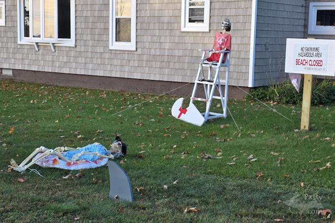 Photo by Laurie Bashaw