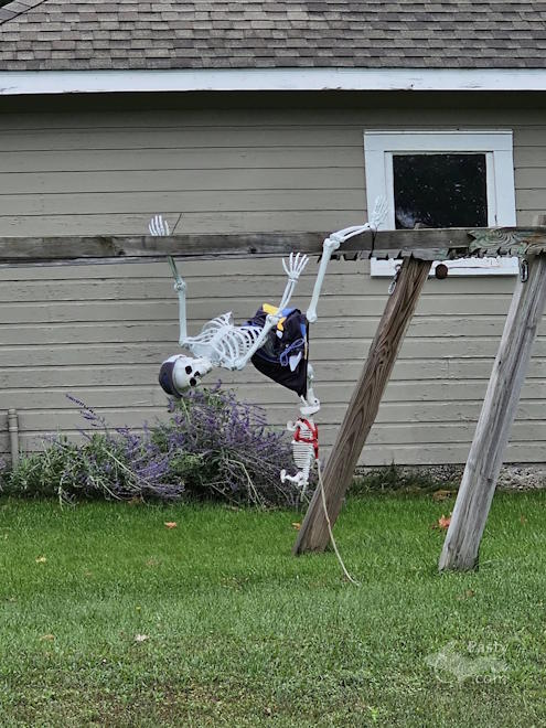 Photo by Laurie Bashaw