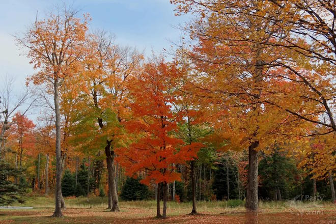 Photo by Debbie Jarve