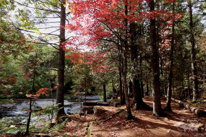 Photo by Debbie Jarve