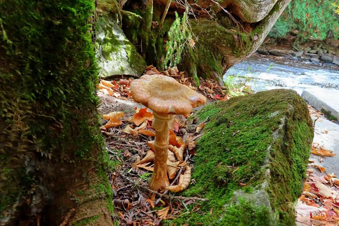 Photo by Debbie Jarve