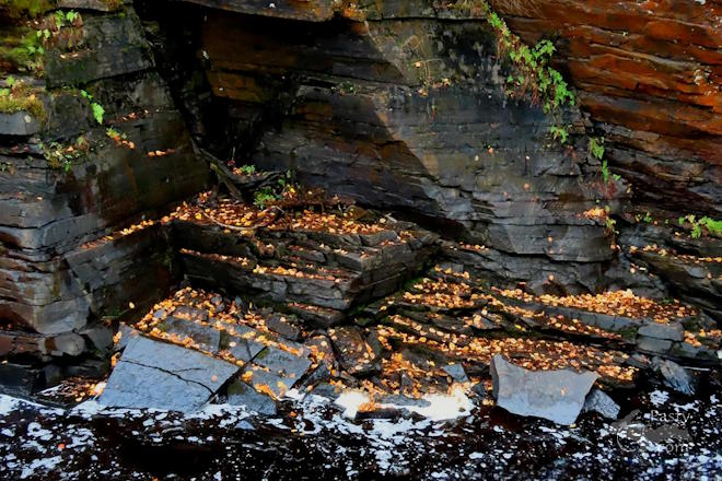 Photo by Debbie Jarve