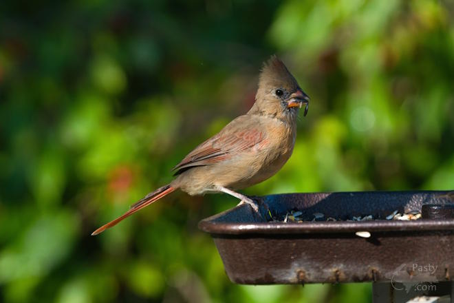 Photo by Kevin Dunham