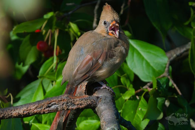 Photo by Kevin Dunham