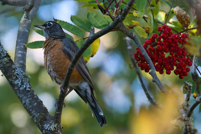 Photo by Kevin Dunham