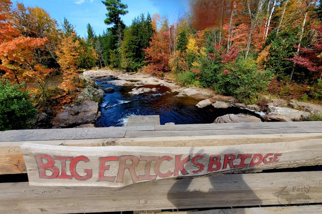 Photo by Marsha Galbraith