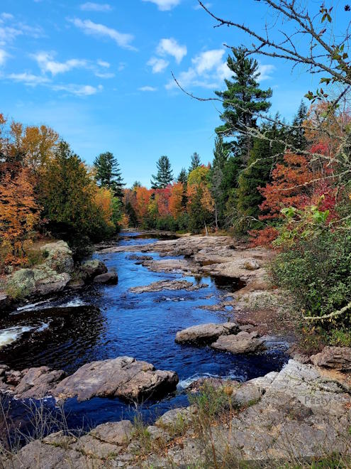 Photo by Marsha Galbraith