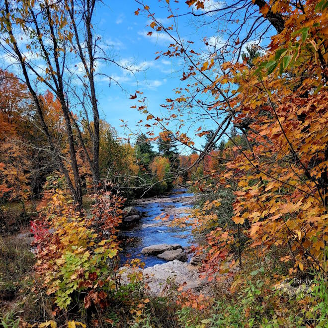 Photo by Marsha Galbraith