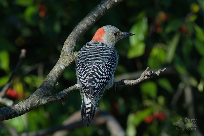 Photo by Kevin Dunham