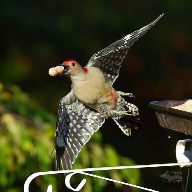 Photo by Kevin Dunham