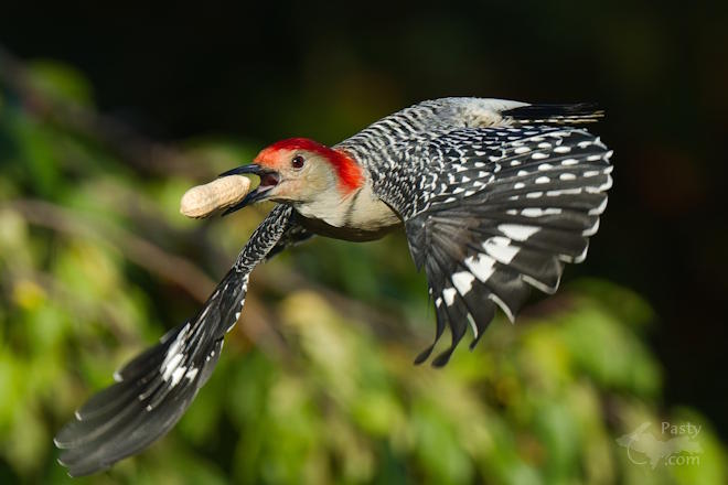 Photo by Kevin Dunham