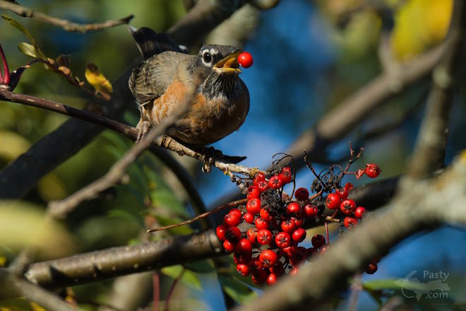 Photo by Kevin Dunham