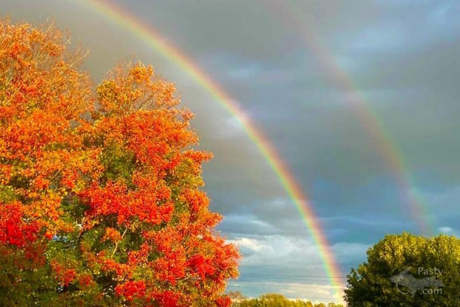 Photo by Karen Anderson Ham