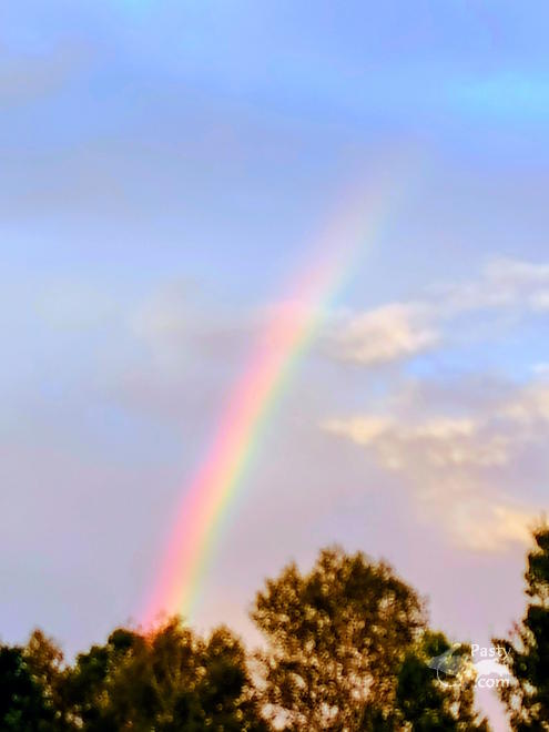 Photo by Jean Dessellier