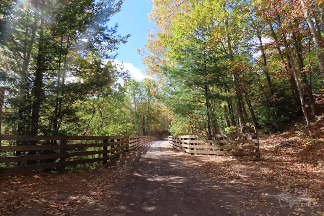 Photo by Debbie Jarve