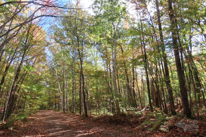 Photo by Debbie Jarve