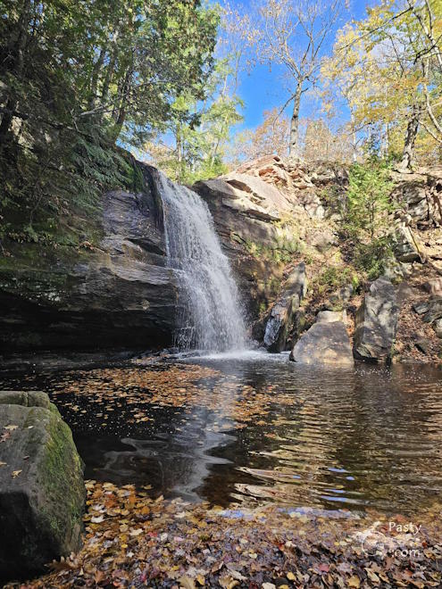 Photo by Debbie Jarve