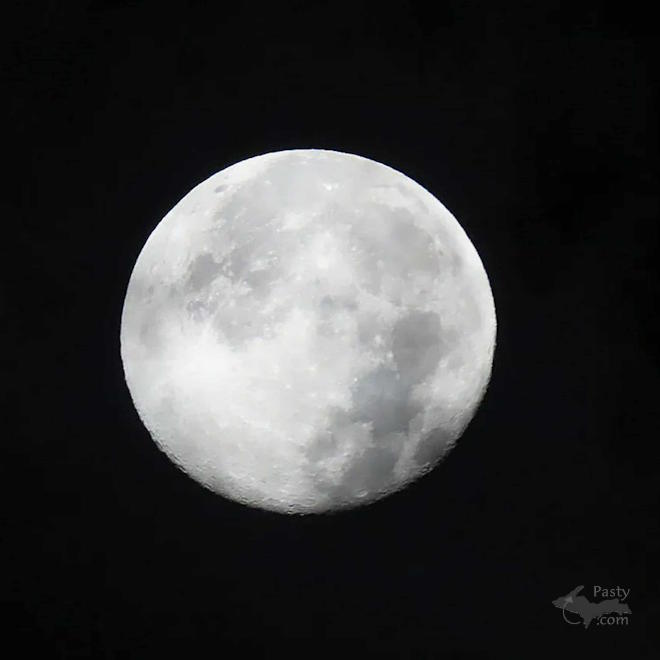 Photo by Debbie Jarve