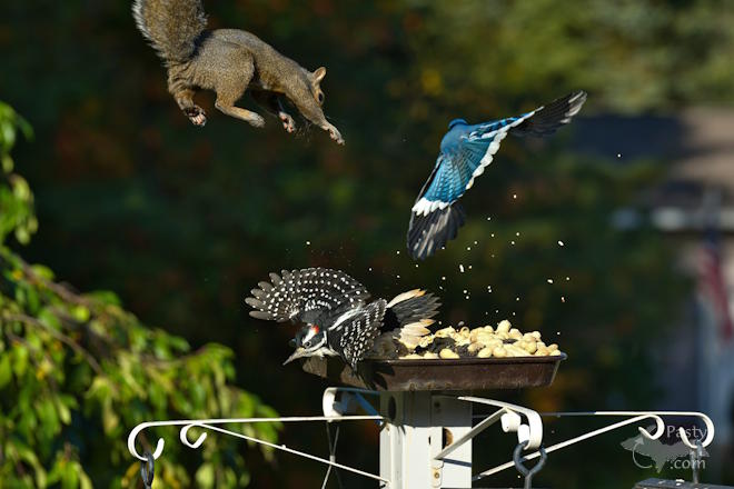 Photo by Kevin Dunham