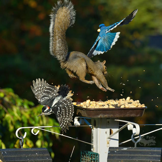 Photo by Kevin Dunham