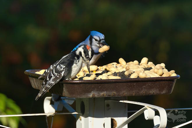 Photo by Kevin Dunham