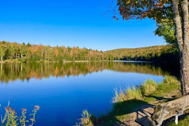 Photo by Diane Richard