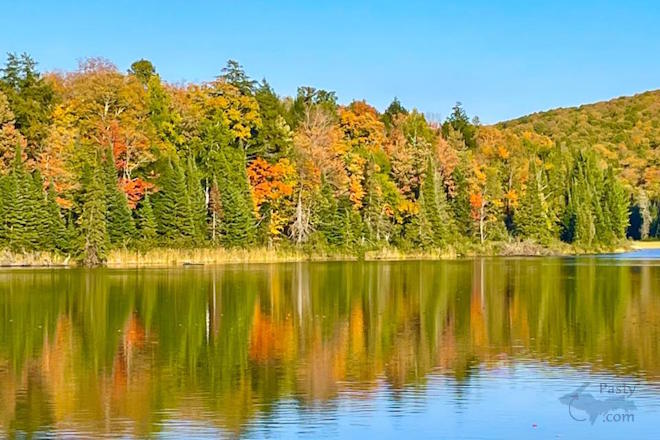 Photo by Diane Richard