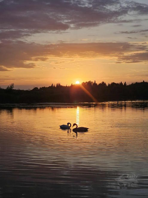 Photo by Debbie Jarve