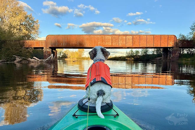 Photo by Jeff Dennis