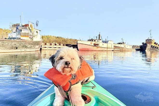 Photo by Jeff Dennis