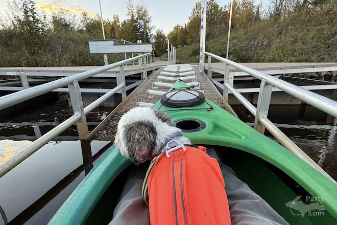 Photo by Jeff Dennis