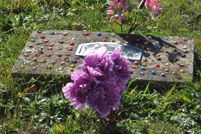 Photo by Donna MacIntosh