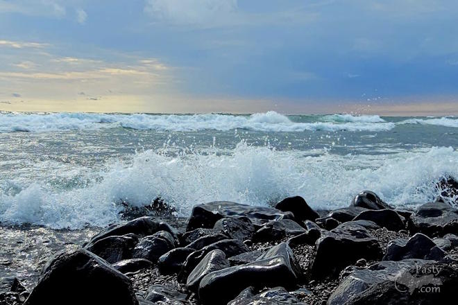 Photo by Stacey Flood