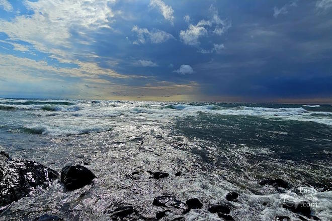 Photo by Stacey Flood