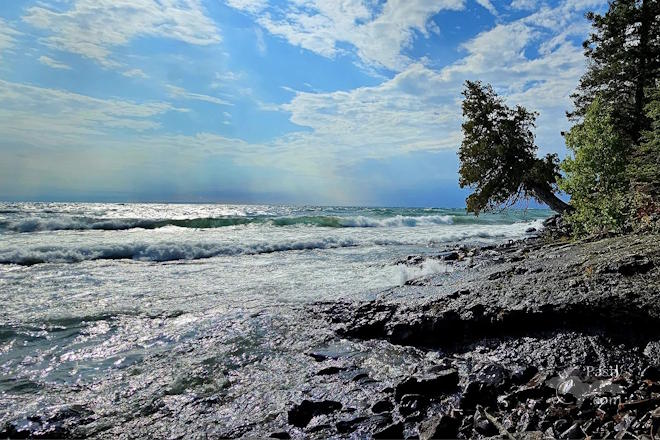 Photo by Stacey Flood