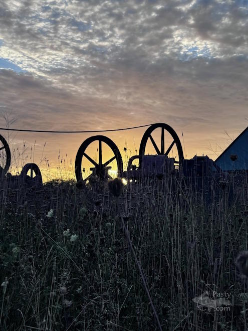 Photo by Judy Byykkonen