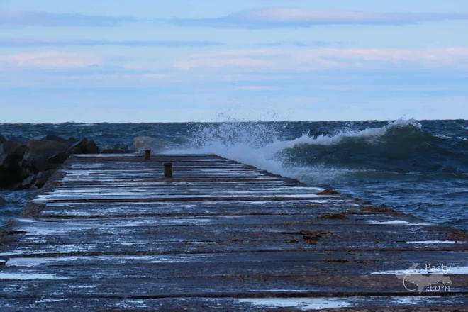 Photo by Debbie Jarve