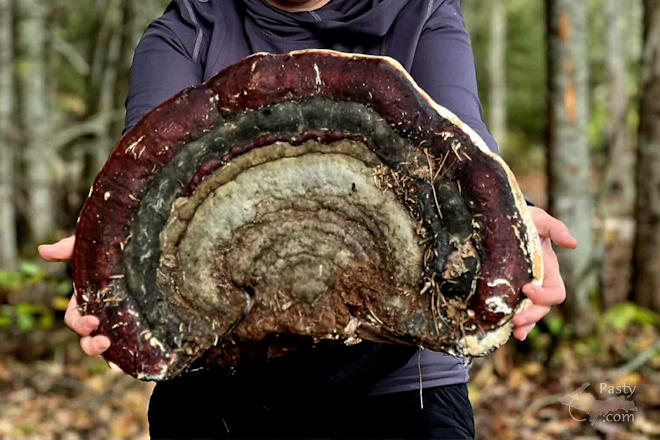 Photo by Stacey Flood