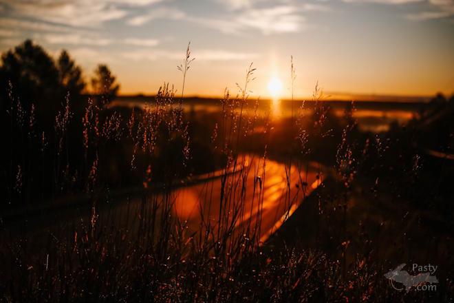 Photo by Megan Gervais