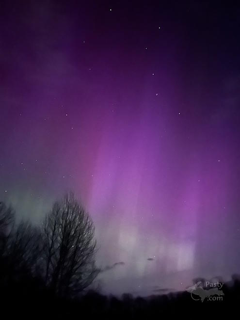 Photo by Ramona Elander England